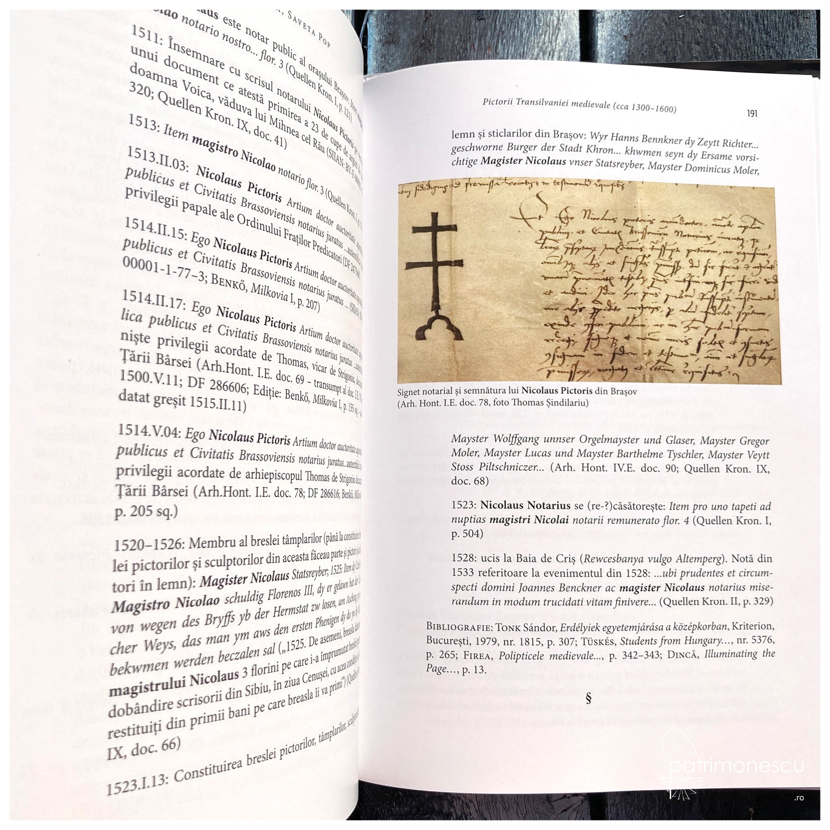 Pictorii Transilvaniei medievale (cca 1300–1600)