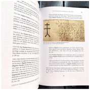 Pictorii Transilvaniei medievale (cca 1300–1600)