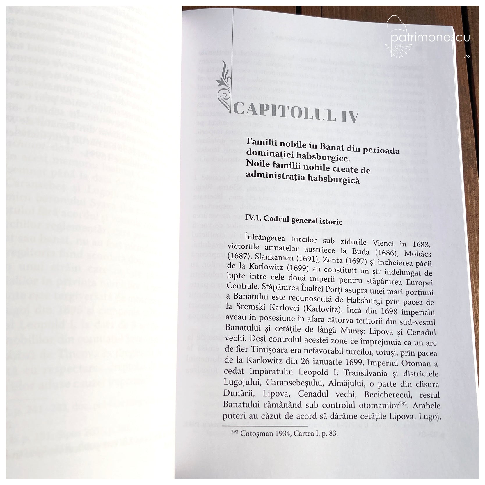 Familii nobile din Banat