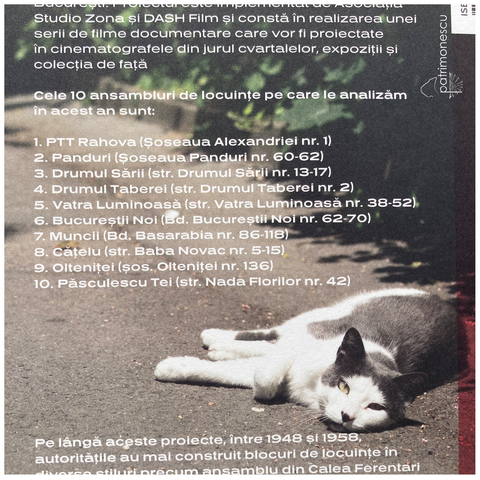 Patrimonescu_Zona Studio_Cvartal-Patrimoniu cultural al cartierelor bucurestene