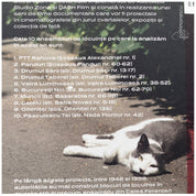 Patrimonescu_Zona Studio_Cvartal-Patrimoniu cultural al cartierelor bucurestene