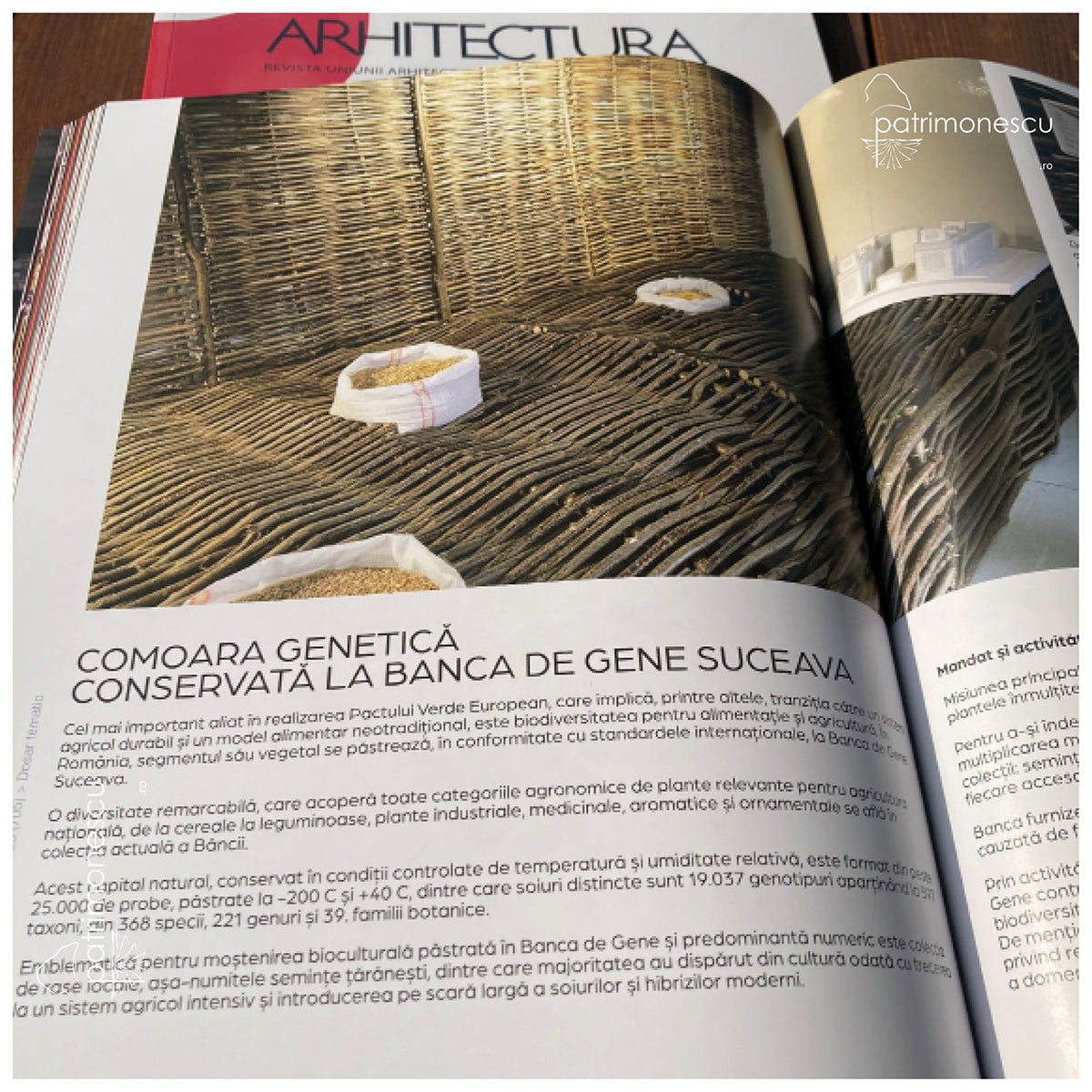 Revista Arhitectura-3/2023, Henri Coandă