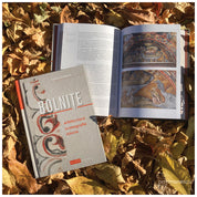 Bolnițe. Arhitectură, iconografie, istorie