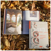 Bolnițe. Arhitectură, iconografie, istorie