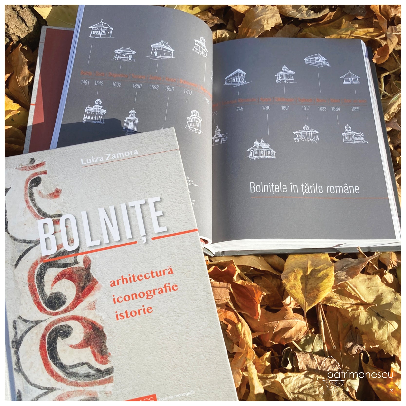 Bolnițe. Arhitectură, iconografie, istorie