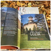 Bolnițe. Arhitectură, iconografie, istorie