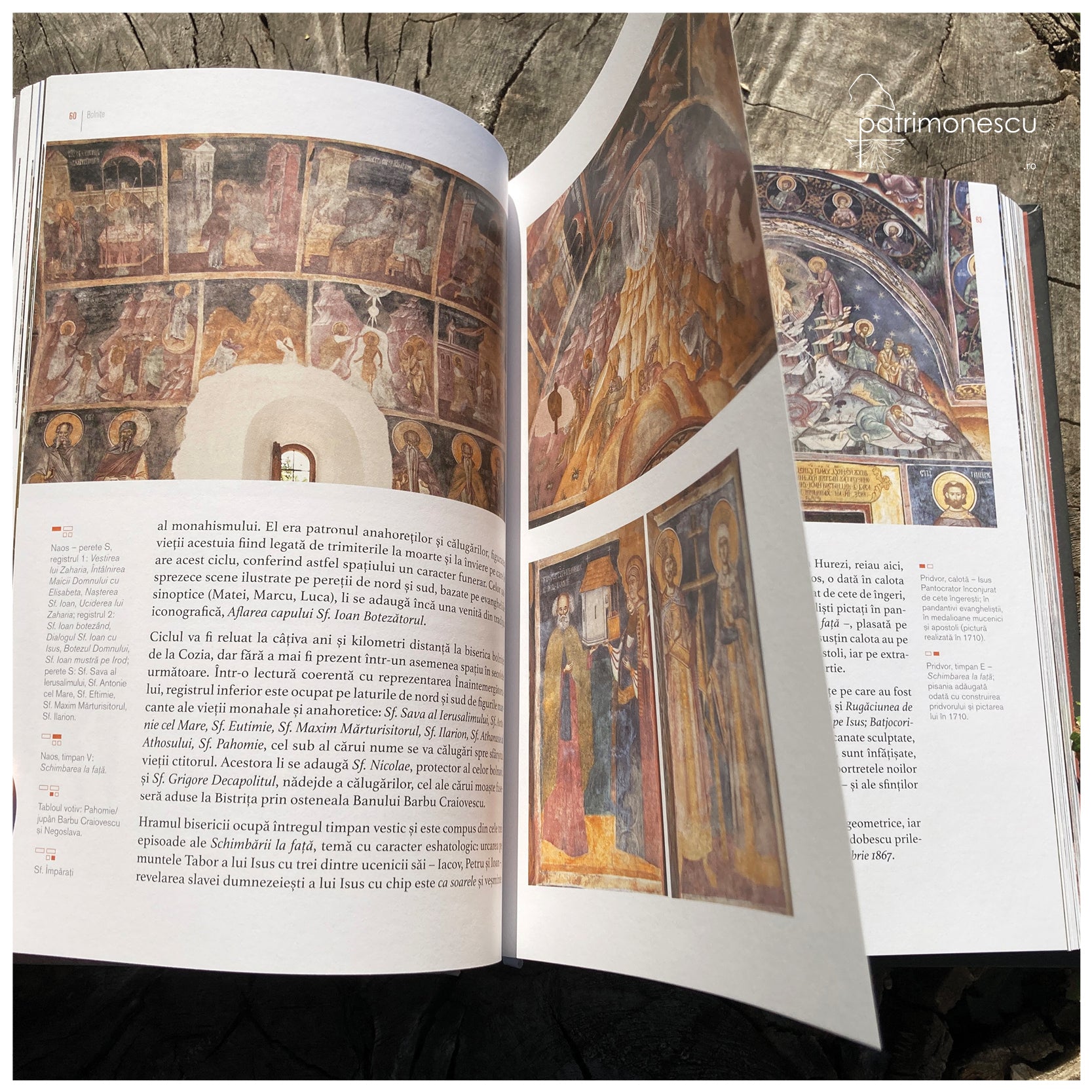 Bolnițe. Arhitectură, iconografie, istorie