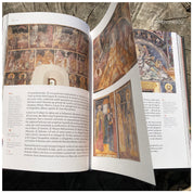 Bolnițe. Arhitectură, iconografie, istorie