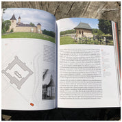 Bolnițe. Arhitectură, iconografie, istorie