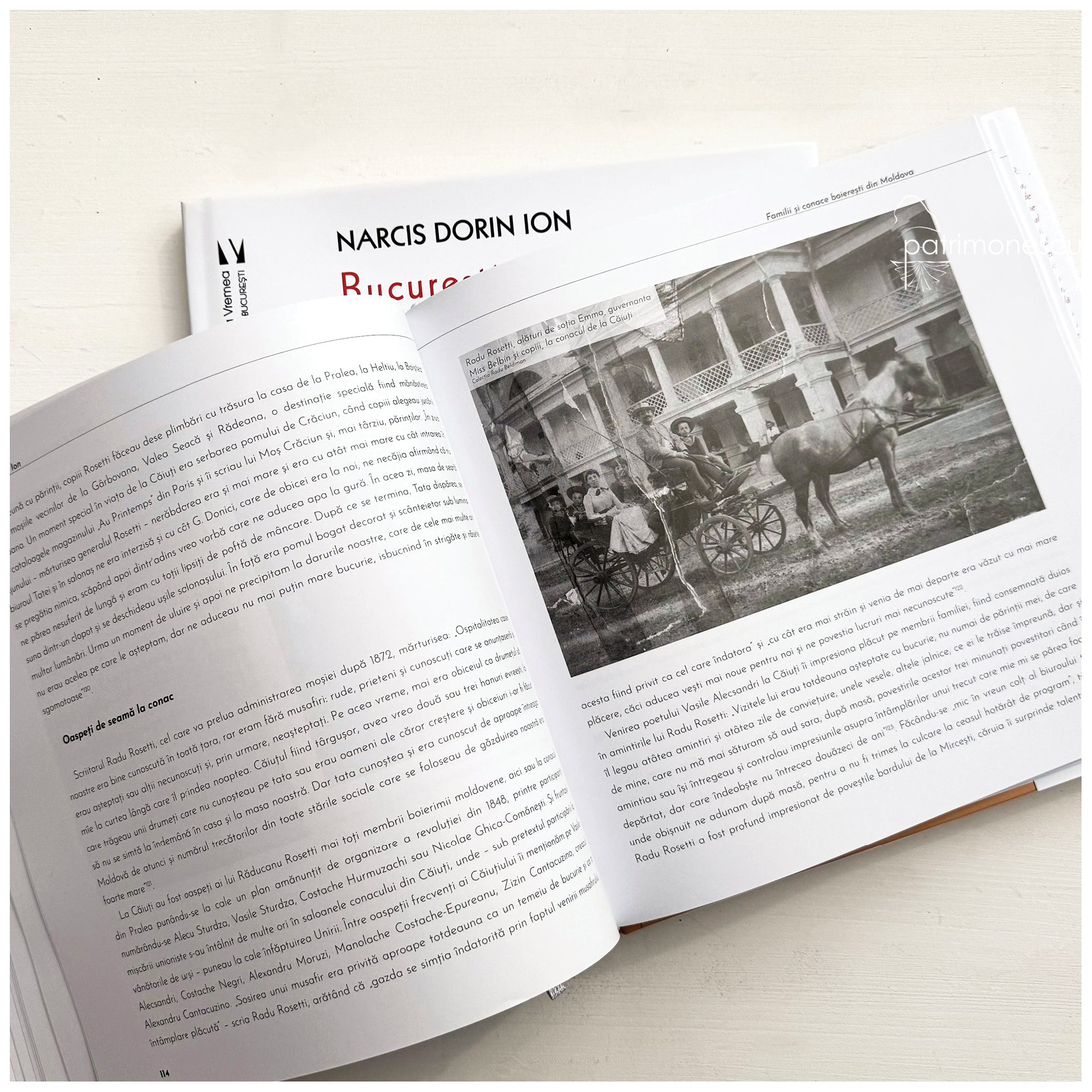 Familii și conace boierești din Moldova