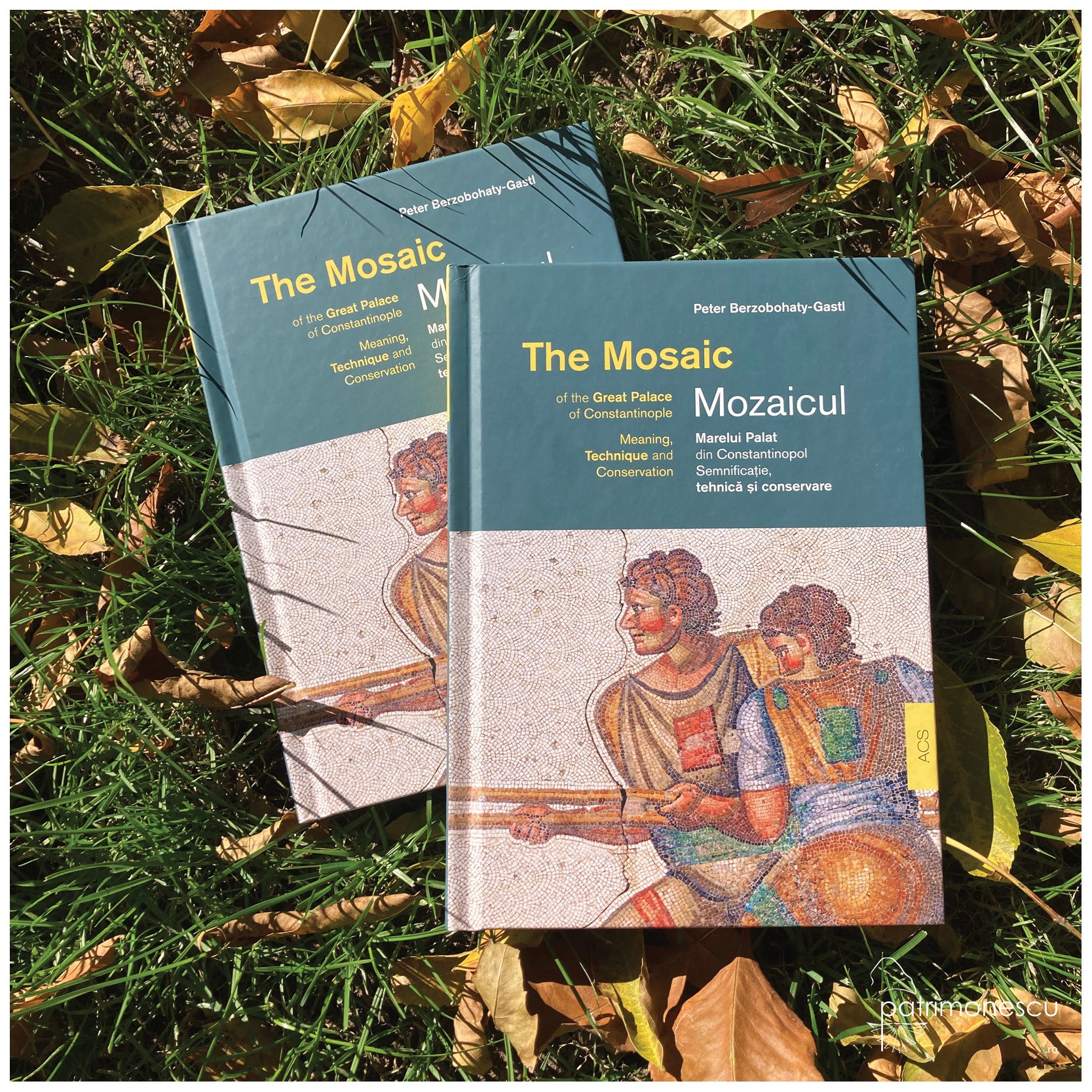 patrimonescu_mozaic_2024.jpg