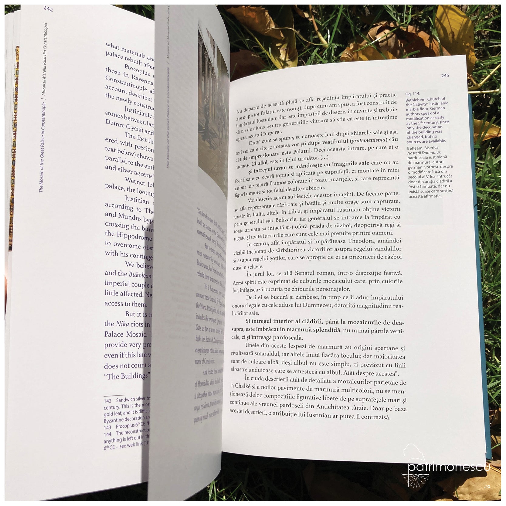 Mozaicul Marelui Palat din Constantinopol. Semnificație, tehnică și conservare