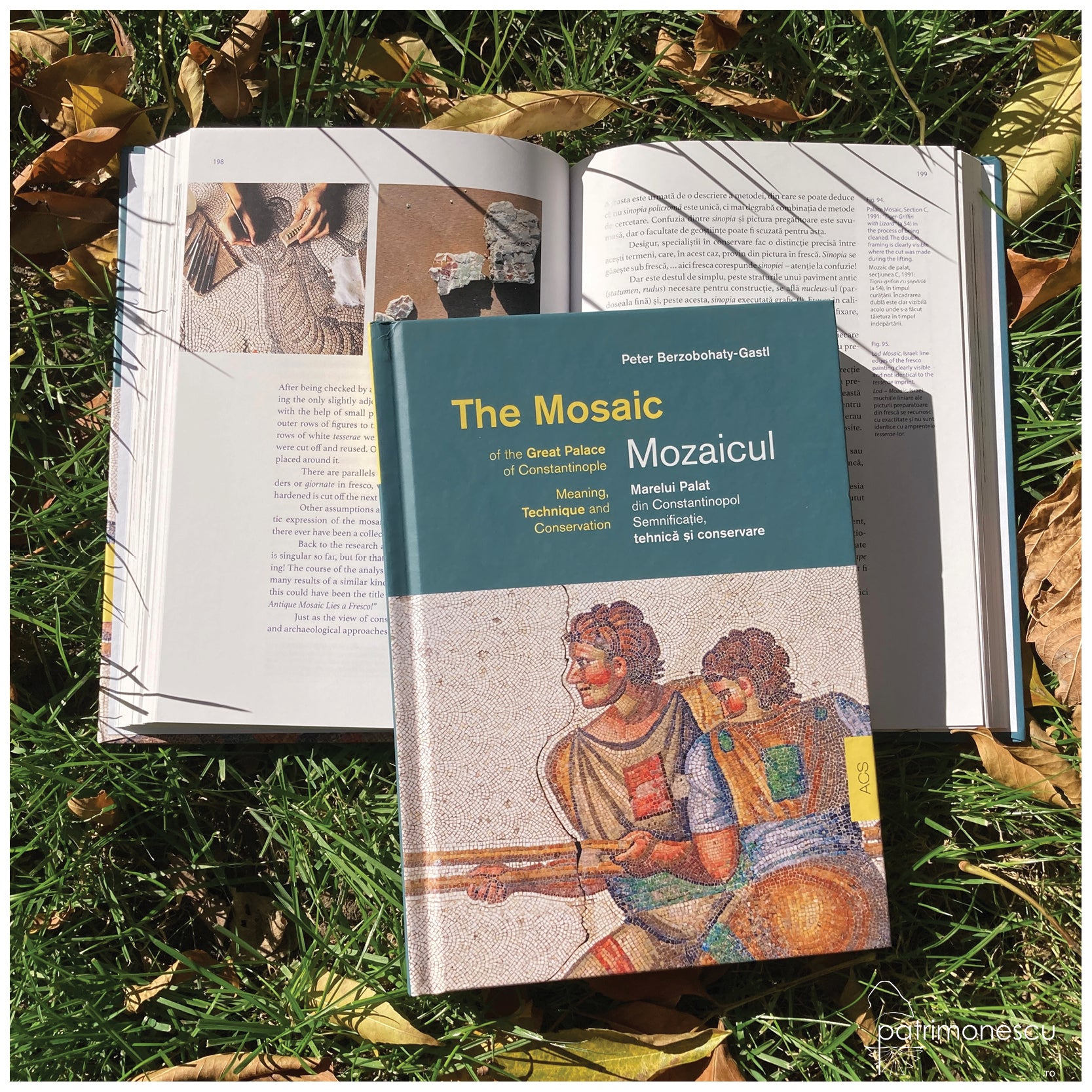 Mozaicul Marelui Palat din Constantinopol. Semnificație, tehnică și conservare