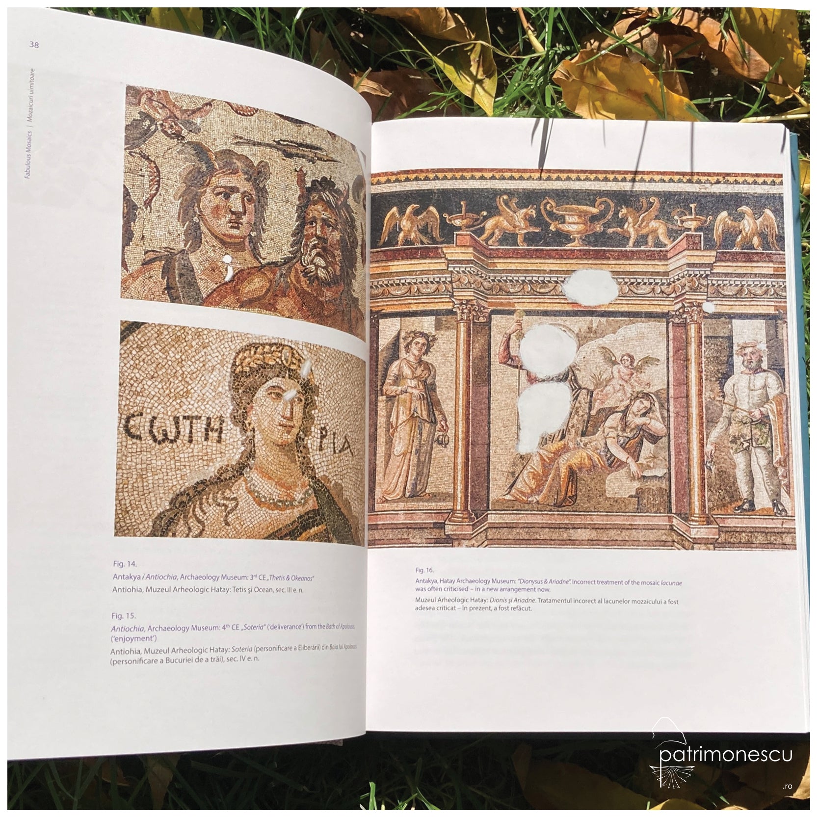 Mozaicul Marelui Palat din Constantinopol. Semnificație, tehnică și conservare