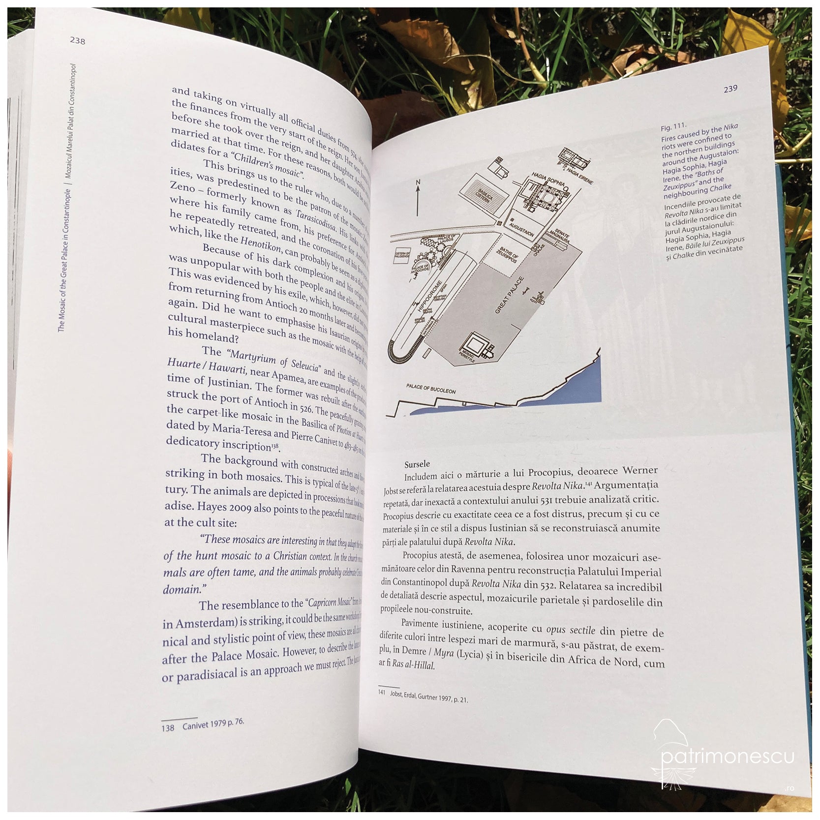 Mozaicul Marelui Palat din Constantinopol. Semnificație, tehnică și conservare