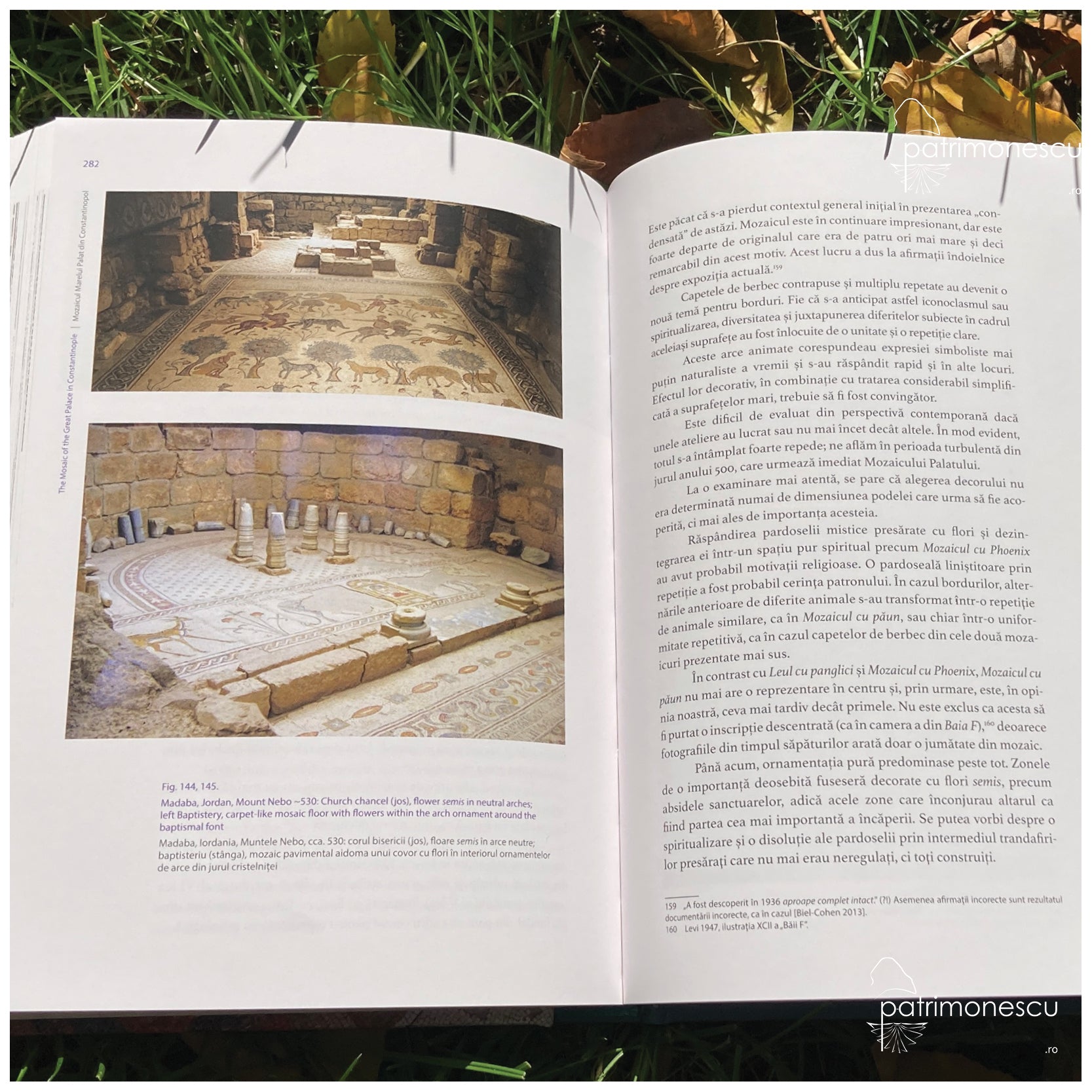 Mozaicul Marelui Palat din Constantinopol. Semnificație, tehnică și conservare