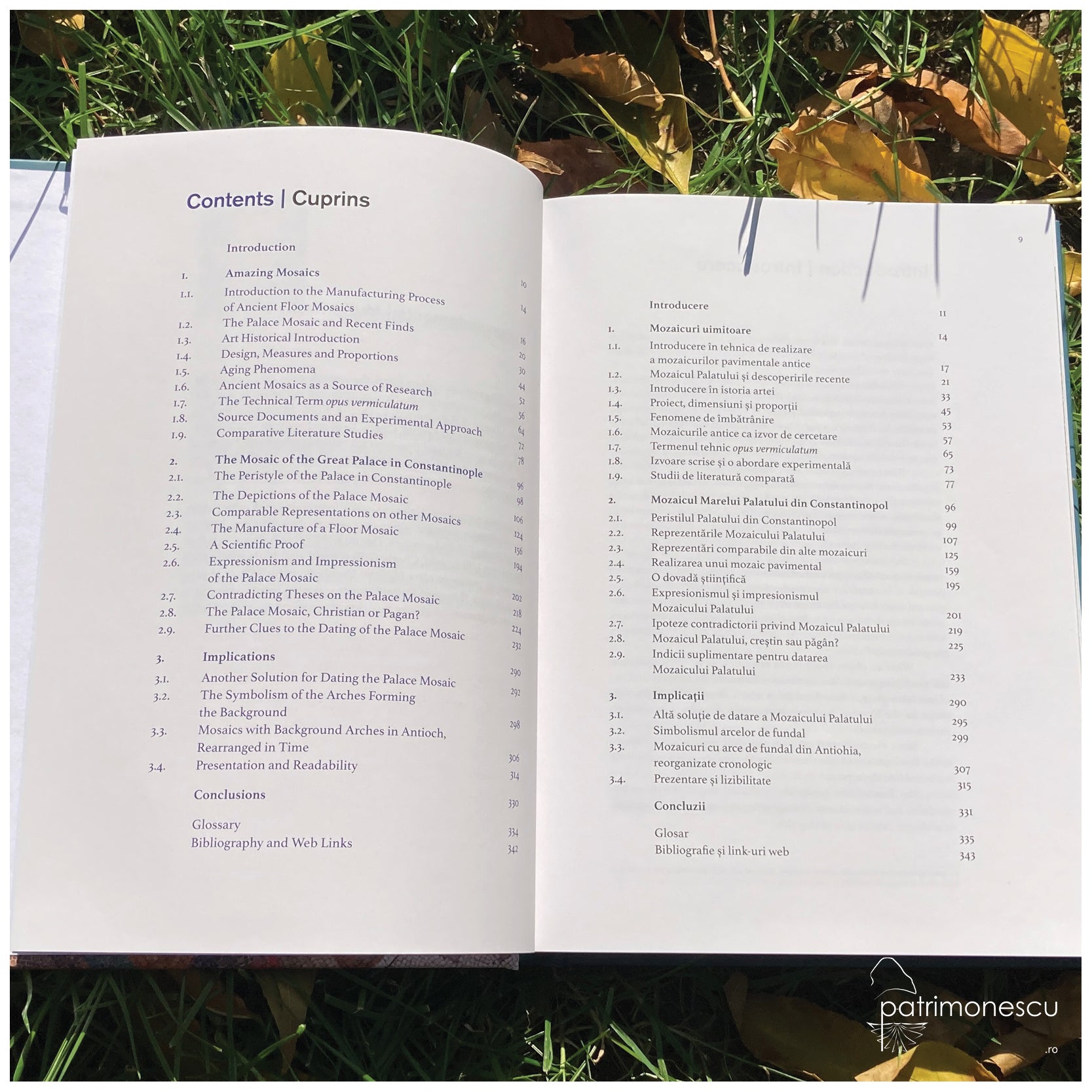 Mozaicul Marelui Palat din Constantinopol. Semnificație, tehnică și conservare