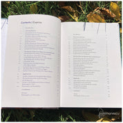 Mozaicul Marelui Palat din Constantinopol. Semnificație, tehnică și conservare