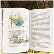 Parcuri publice din România