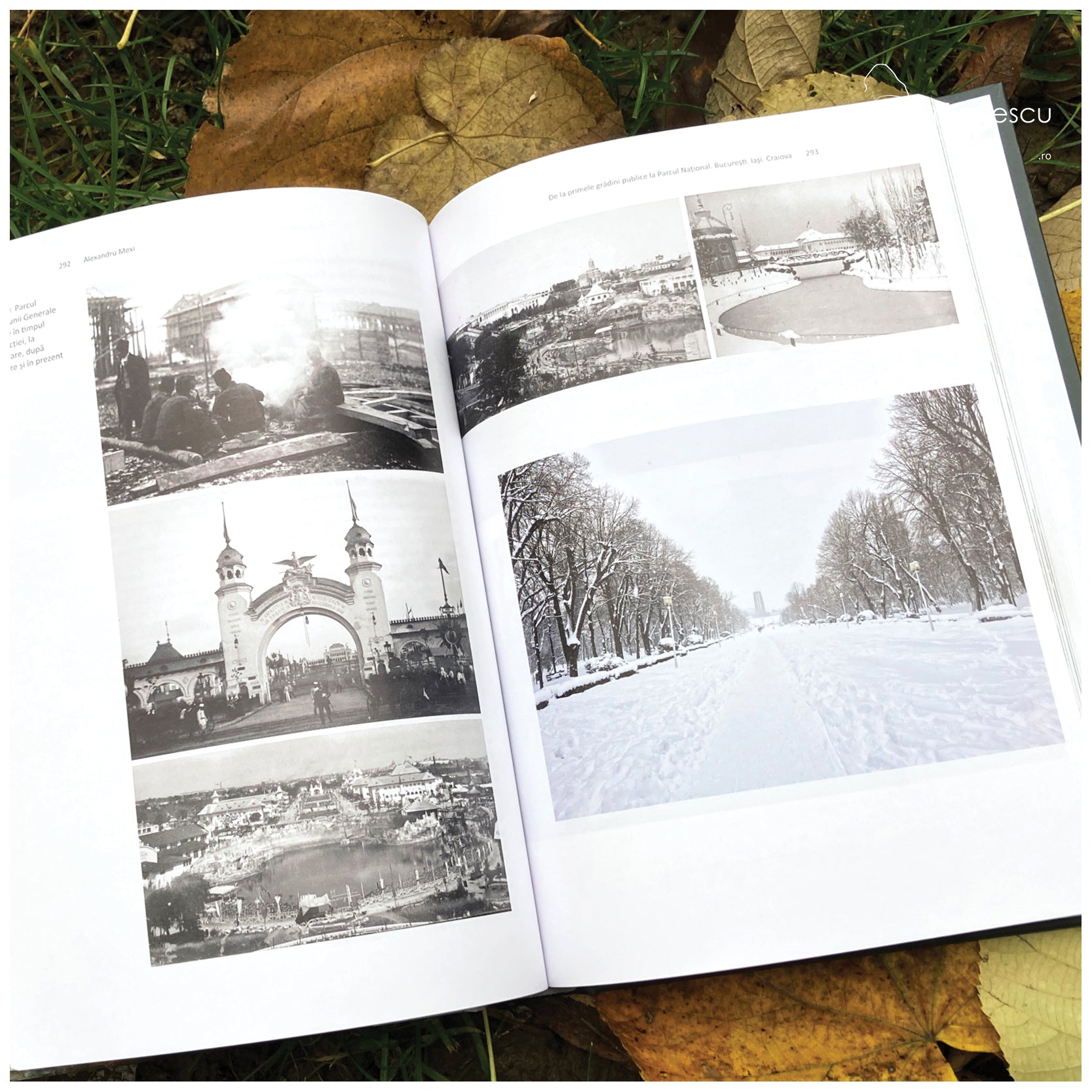 Parcuri publice din România