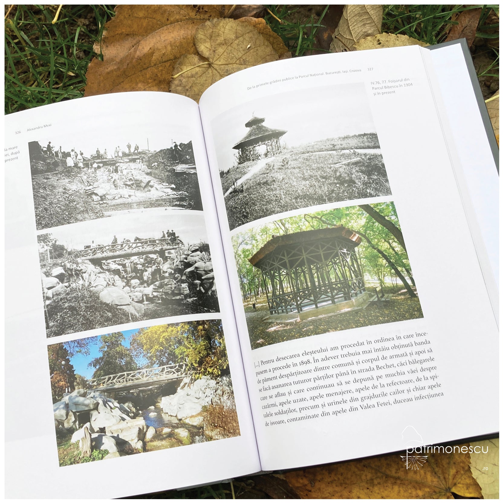 Parcuri publice din România