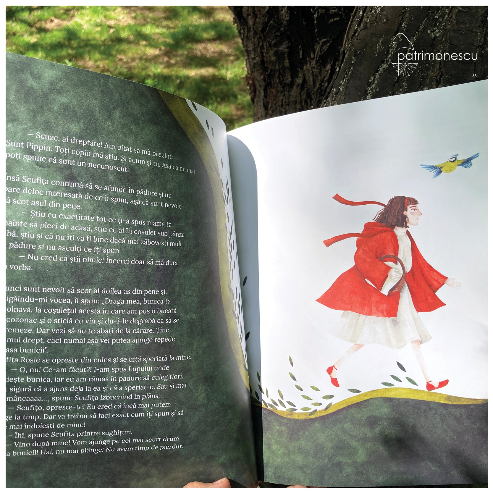 Pippin și Scufița Roșie