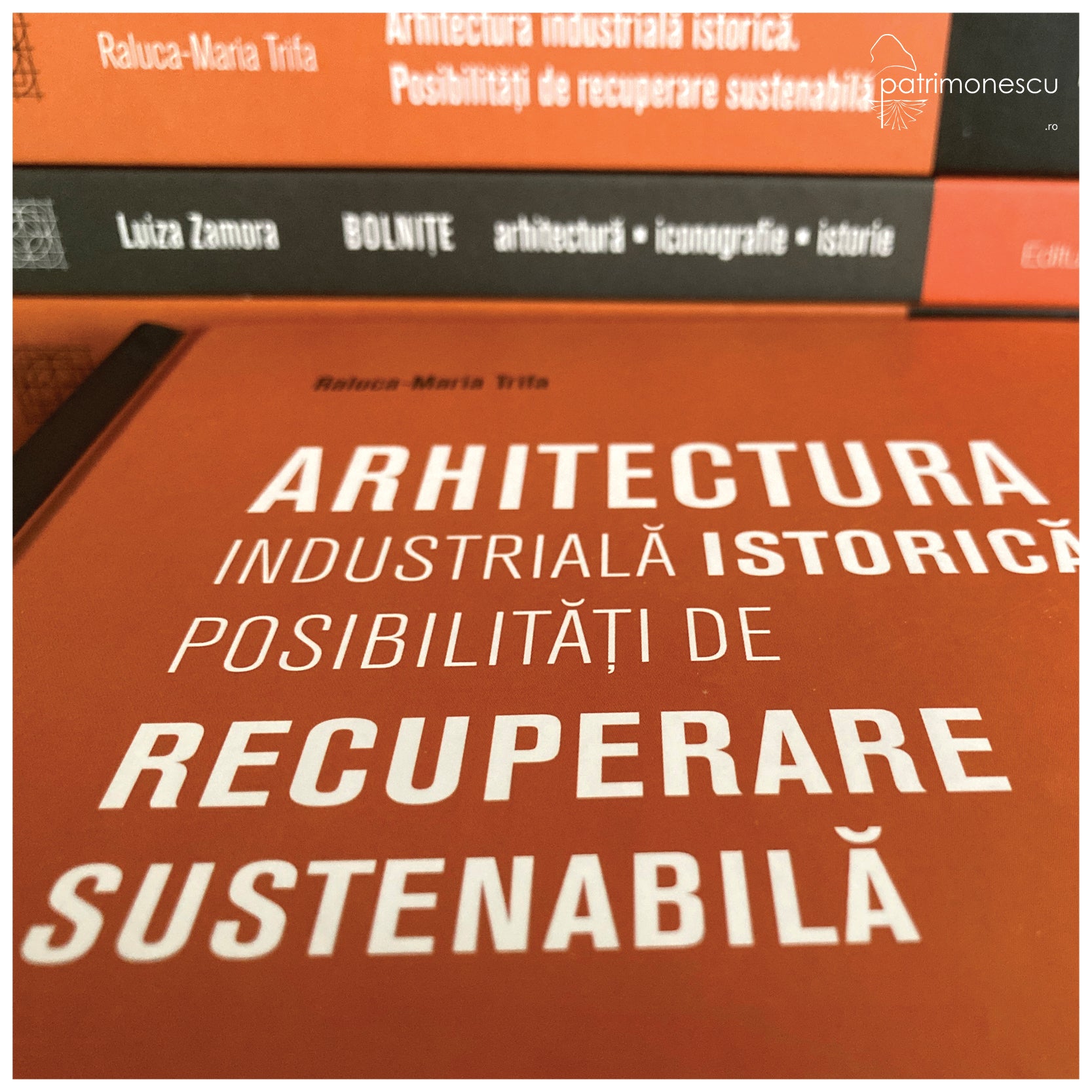 Arhitectura industrială istorică : posibilități de recuperare sustenabilă. Cazul Timișoara