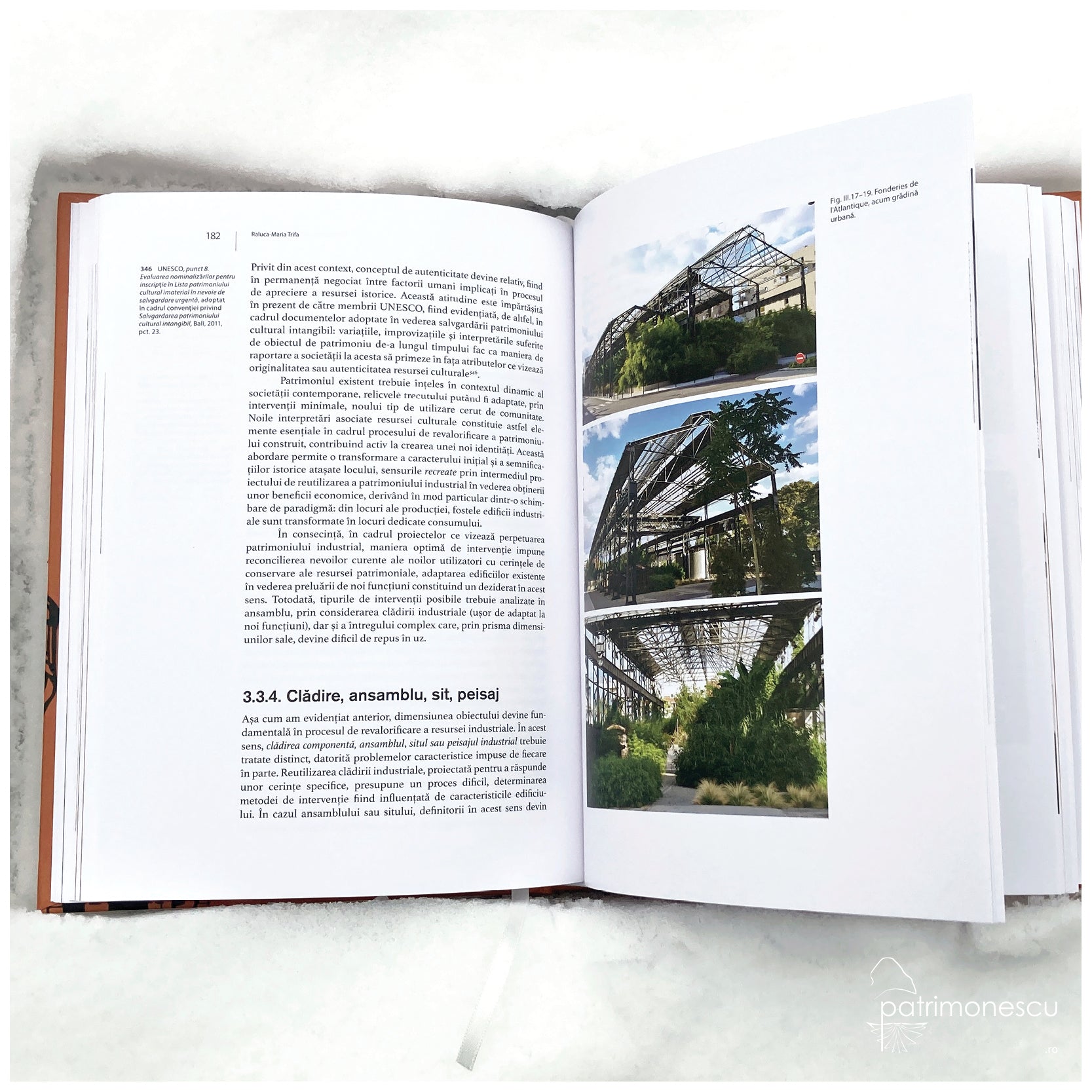 Arhitectura industrială istorică : posibilități de recuperare sustenabilă. Cazul Timișoara