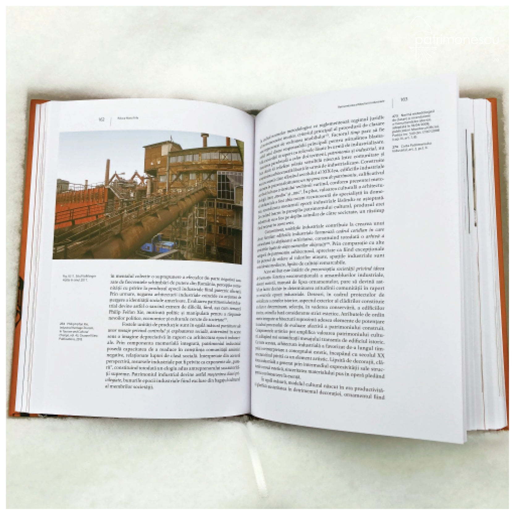 Arhitectura industrială istorică : posibilități de recuperare sustenabilă. Cazul Timișoara