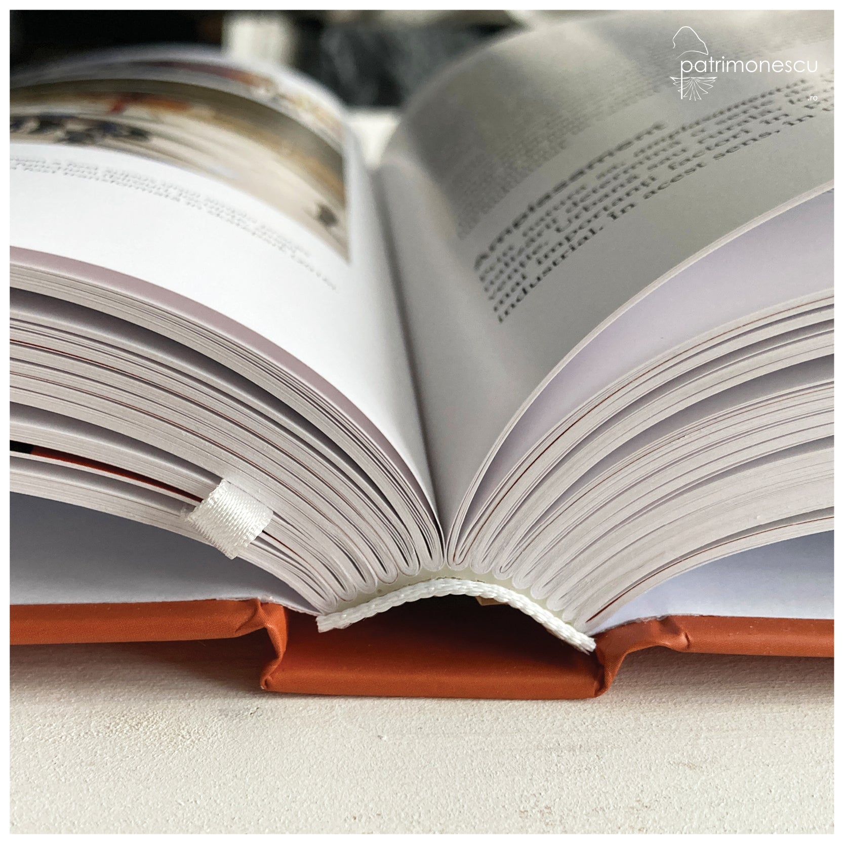 Arhitectura industrială istorică : posibilități de recuperare sustenabilă. Cazul Timișoara