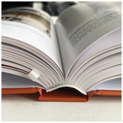 Arhitectura industrială istorică : posibilități de recuperare sustenabilă. Cazul Timișoara