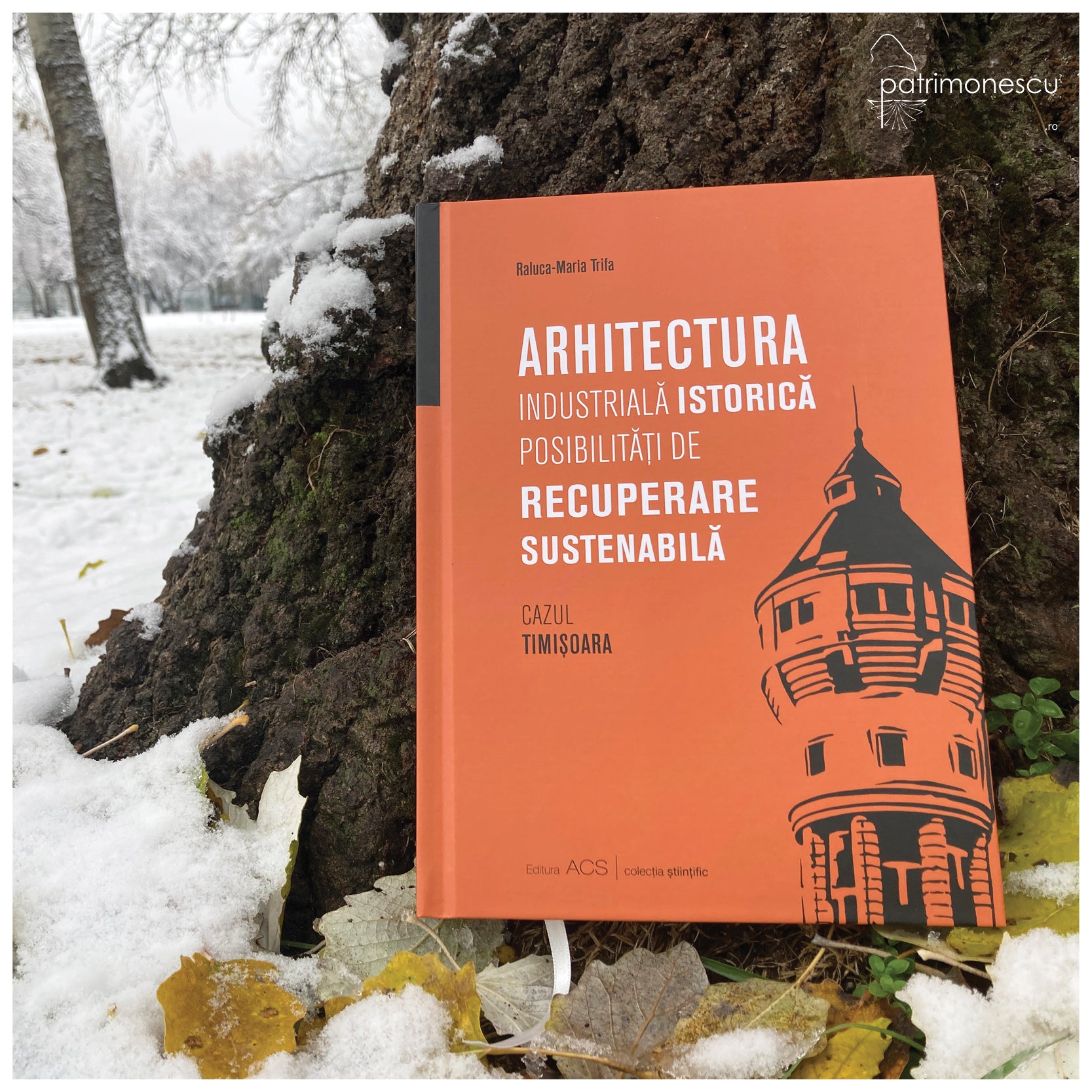Arhitectura industrială istorică : posibilități de recuperare sustenabilă. Cazul Timișoara