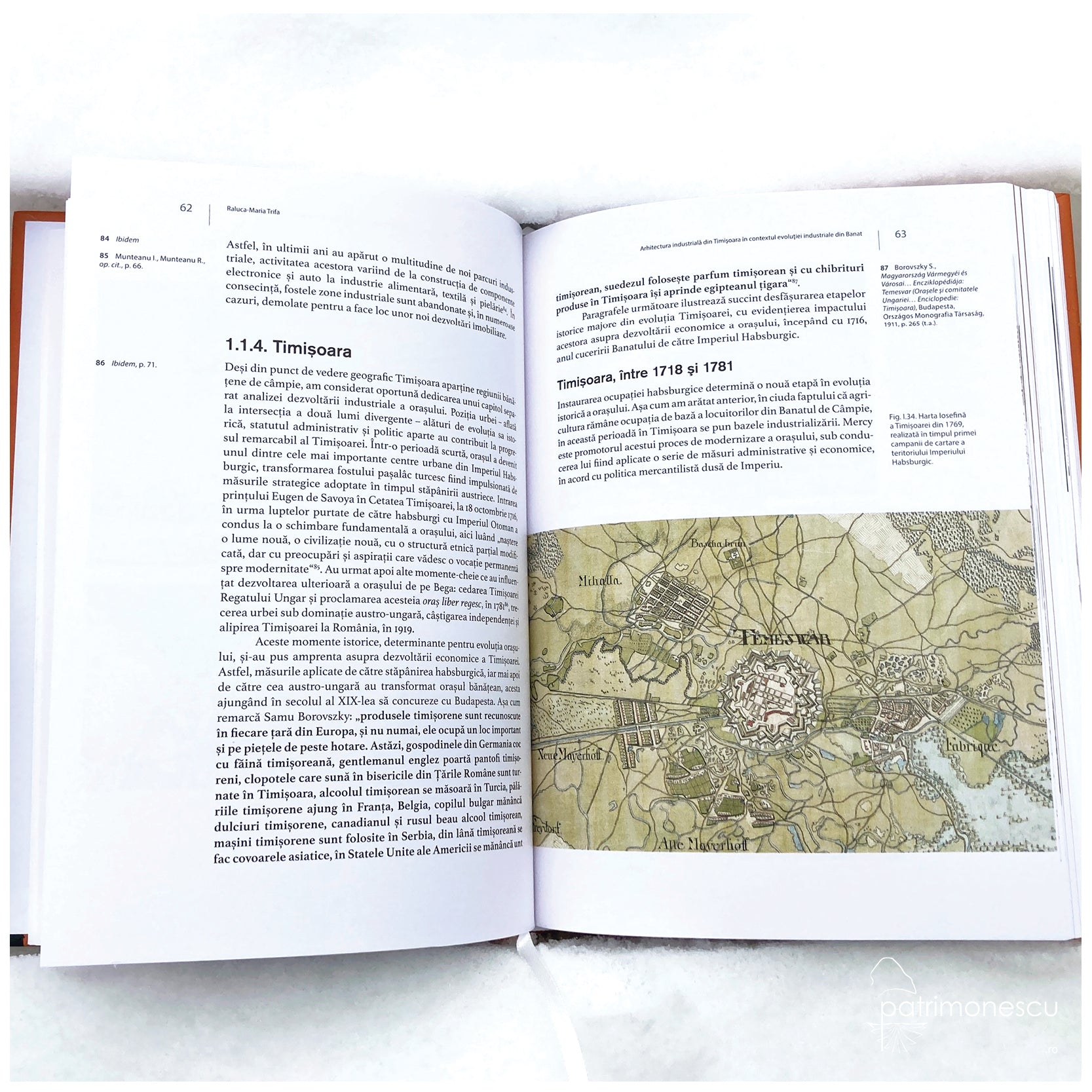 Arhitectura industrială istorică : posibilități de recuperare sustenabilă. Cazul Timișoara