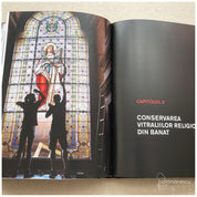 Patrimoniu recuperat. Vitralii din Banat. Secolele XIX - XX