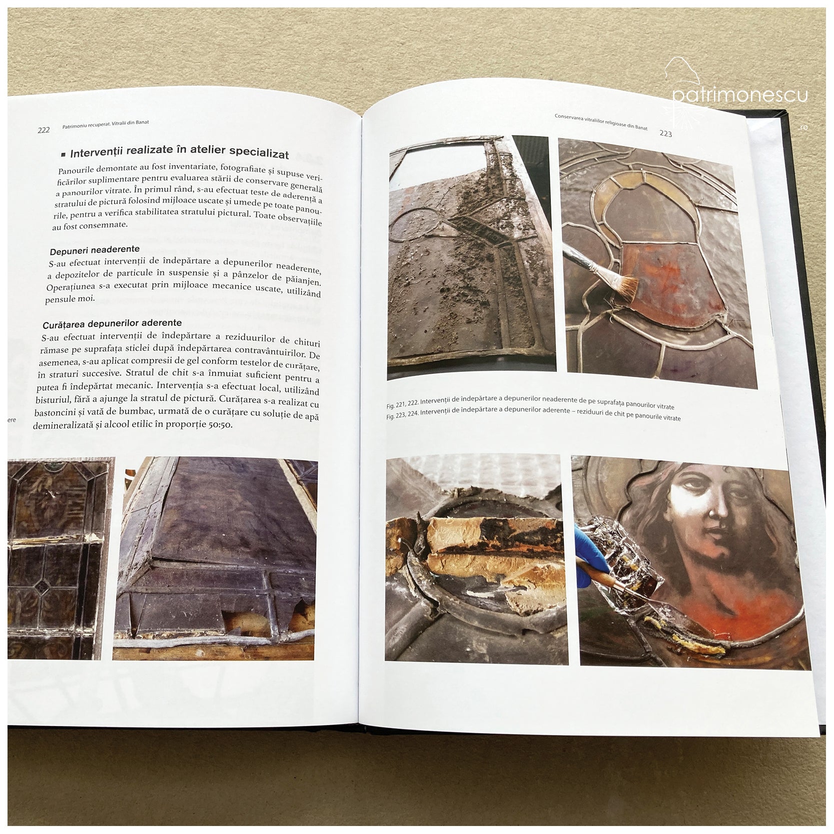 Patrimoniu recuperat. Vitralii din Banat. Secolele XIX - XX