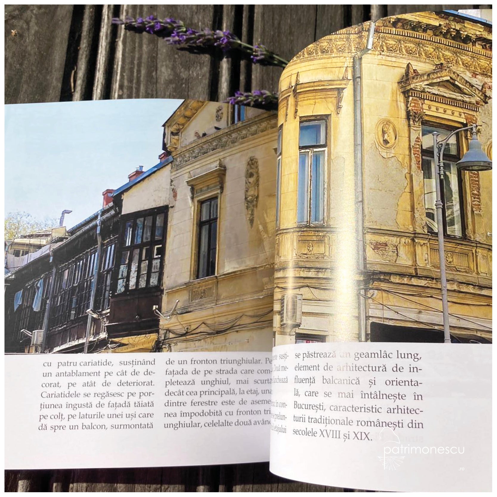 Vanatoare de comori prin Bucuresti_Silvia Colfescu