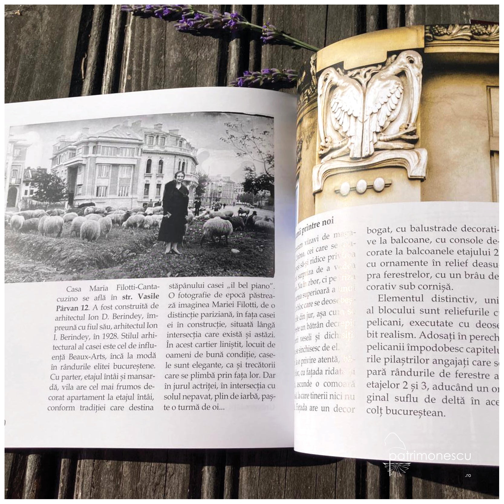 Vanatoare de comori prin Bucuresti_Silvia Colfescu