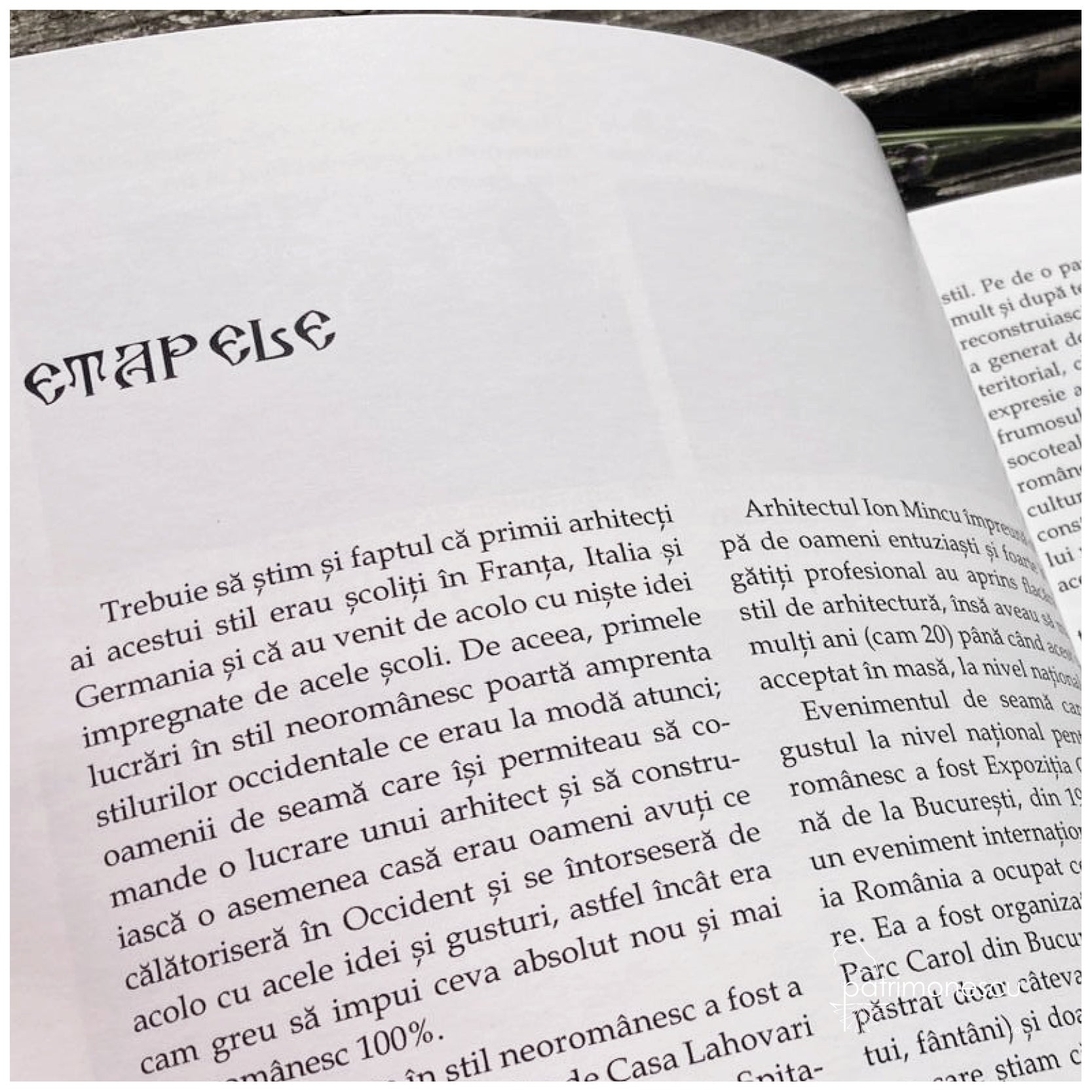 Bucuresti-Neoromanesc-Andrei Neagu