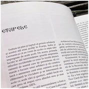 Bucuresti-Neoromanesc-Andrei Neagu