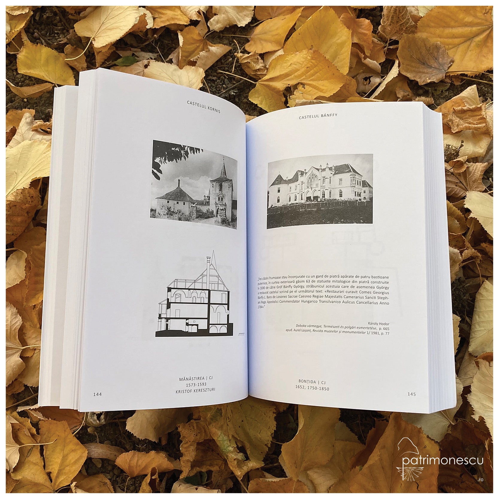 Locuința românescă / Un fișier