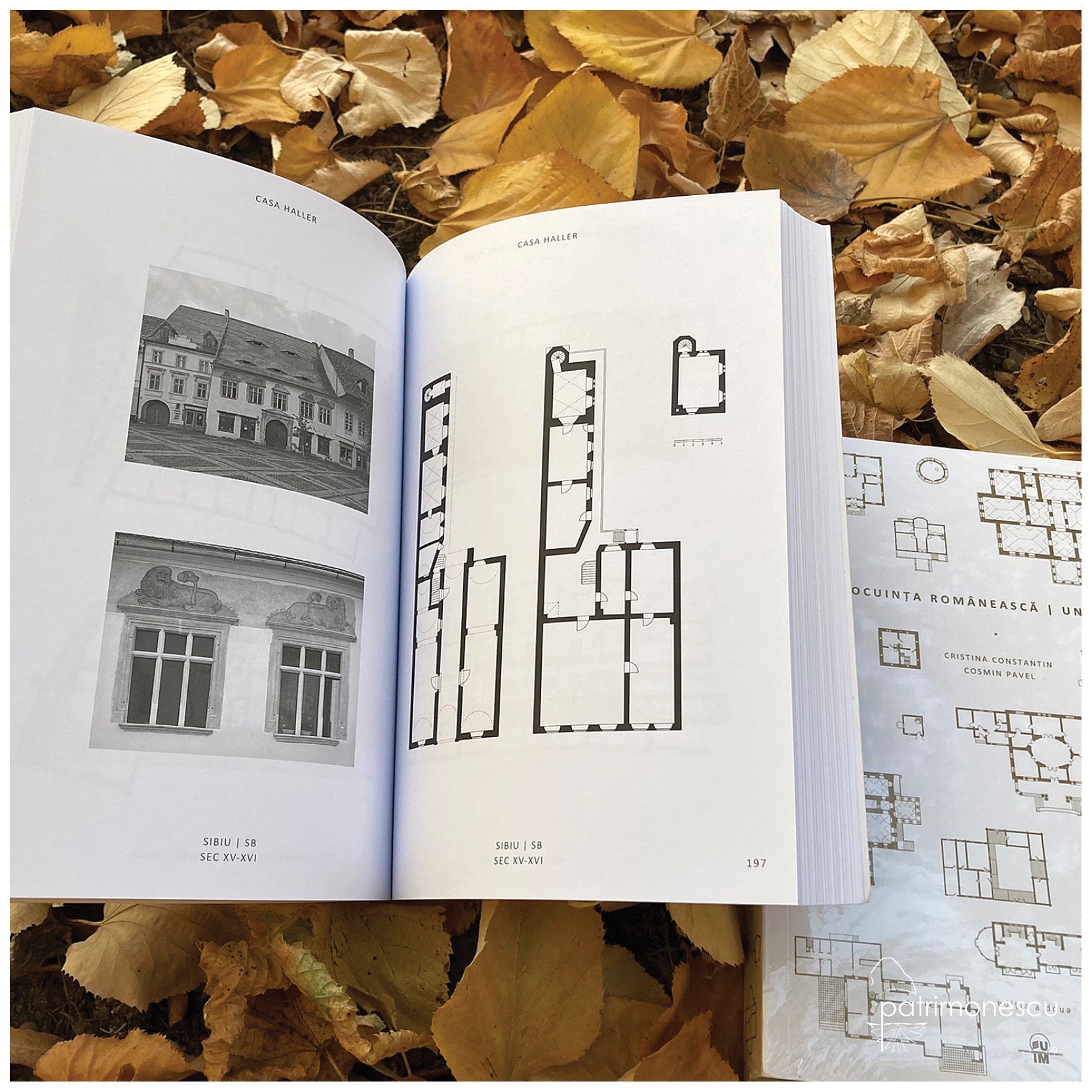 Locuința românescă / Un fișier