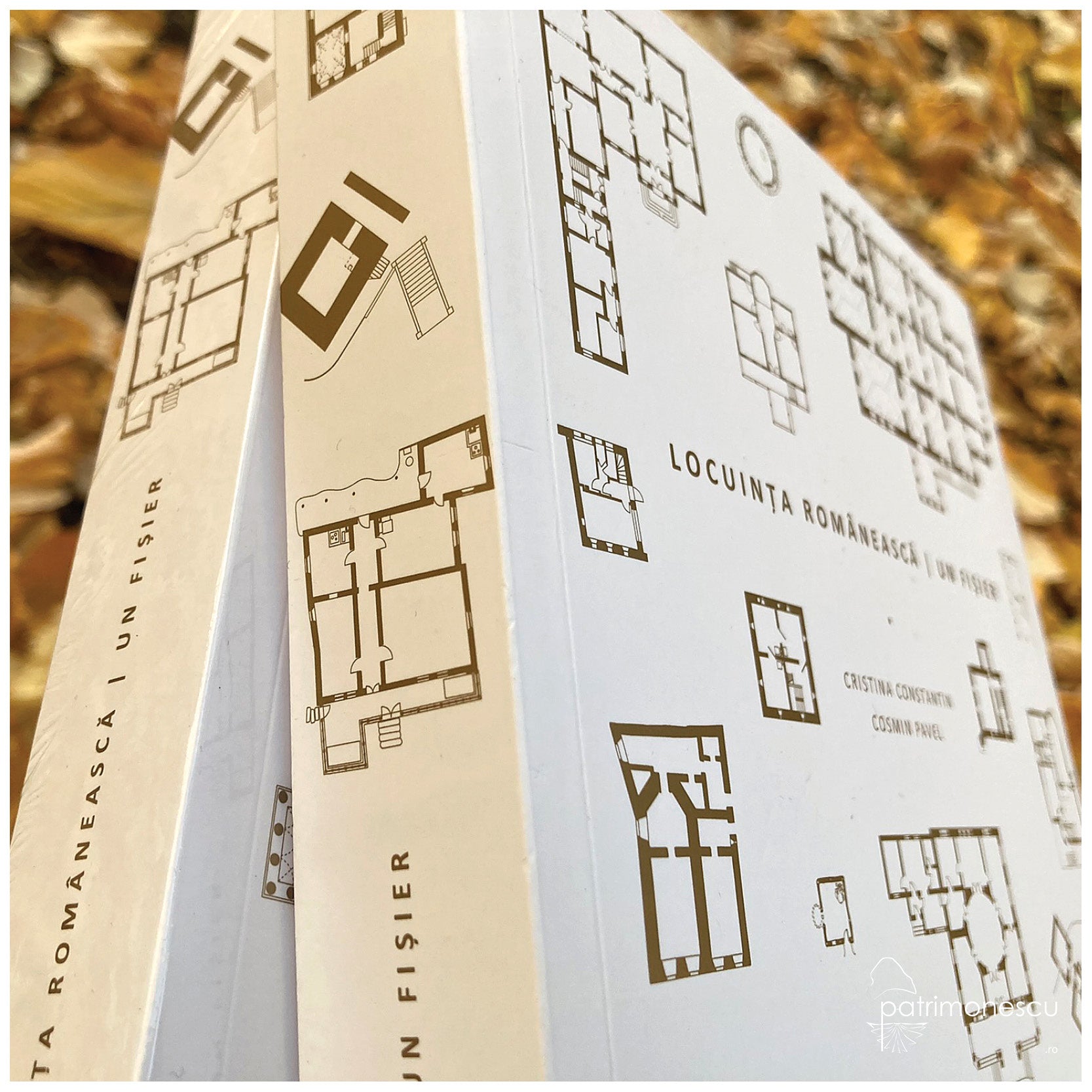 Locuința românescă / Un fișier