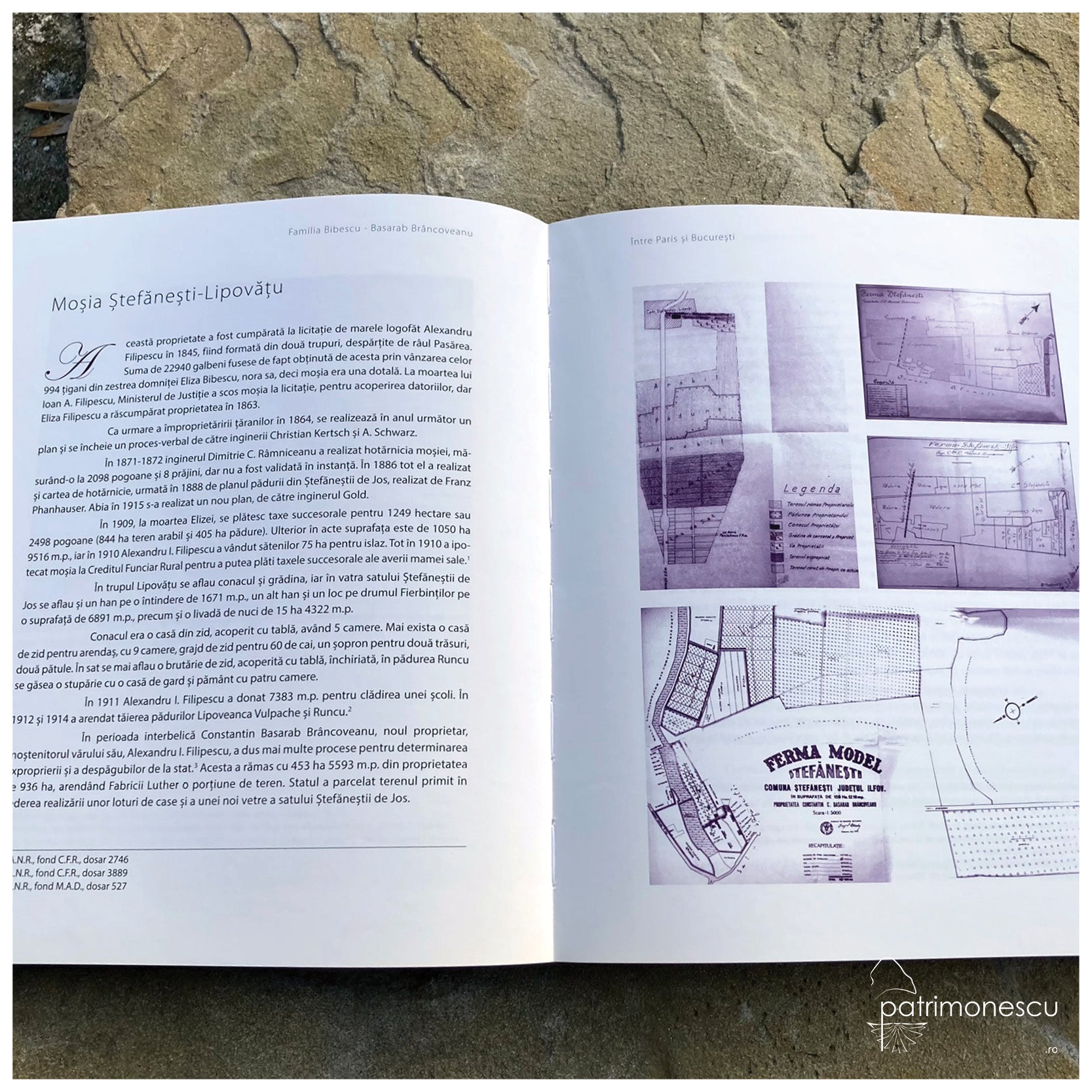 Familia Bibescu - Basarab Brâncoveanu