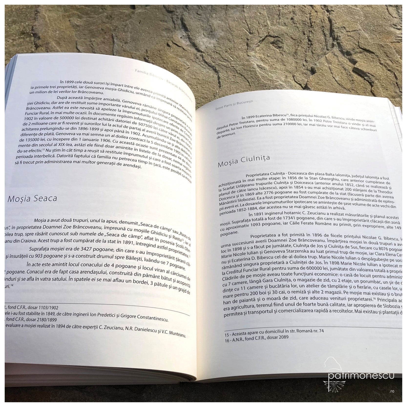 Familia Bibescu - Basarab Brâncoveanu