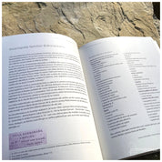 Familia Bibescu - Basarab Brâncoveanu