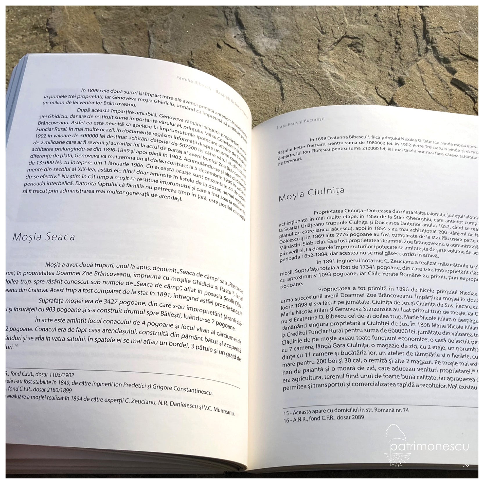 Familia Bibescu - Basarab Brâncoveanu