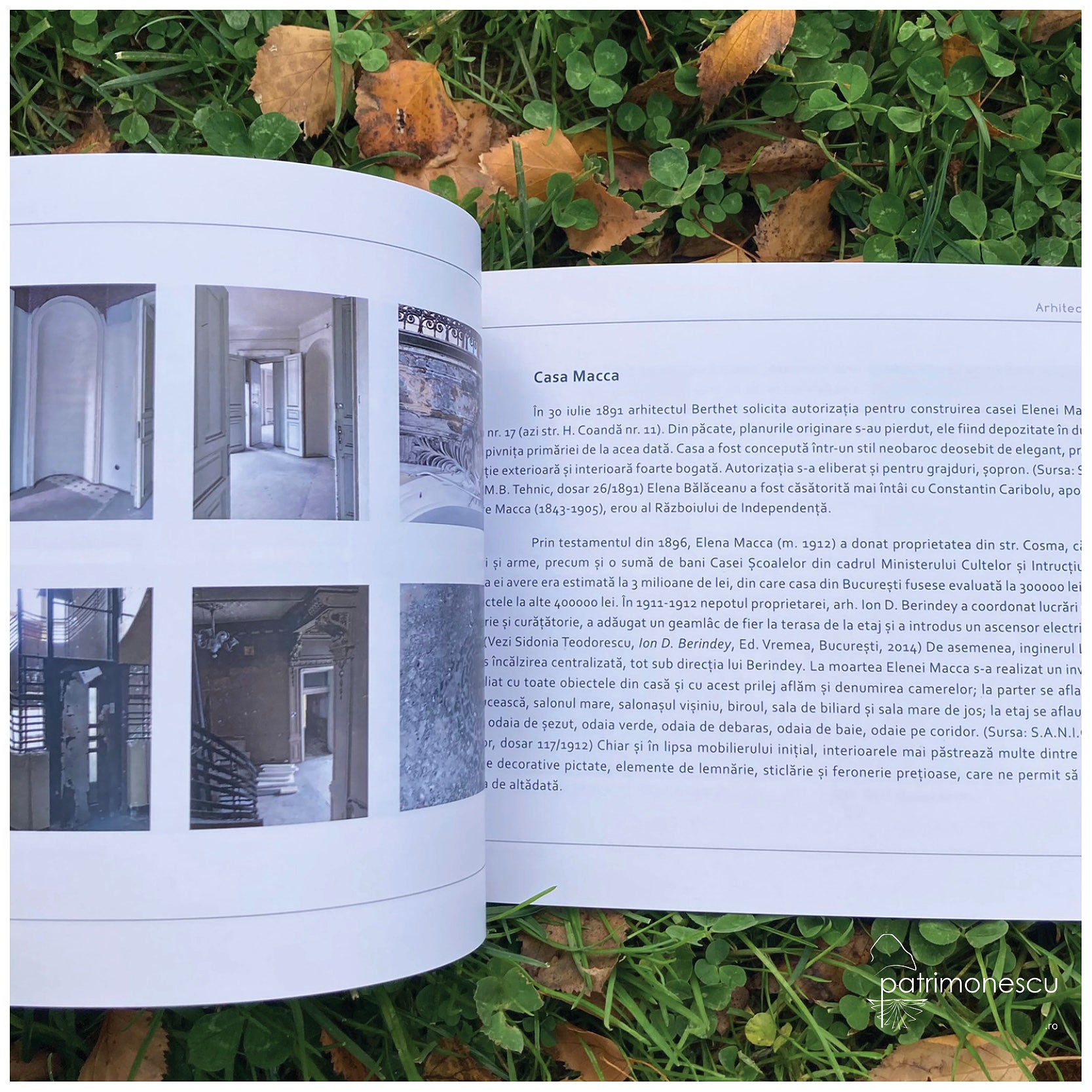 John Elisée Berthet  La Belle Époque Oana Marinache