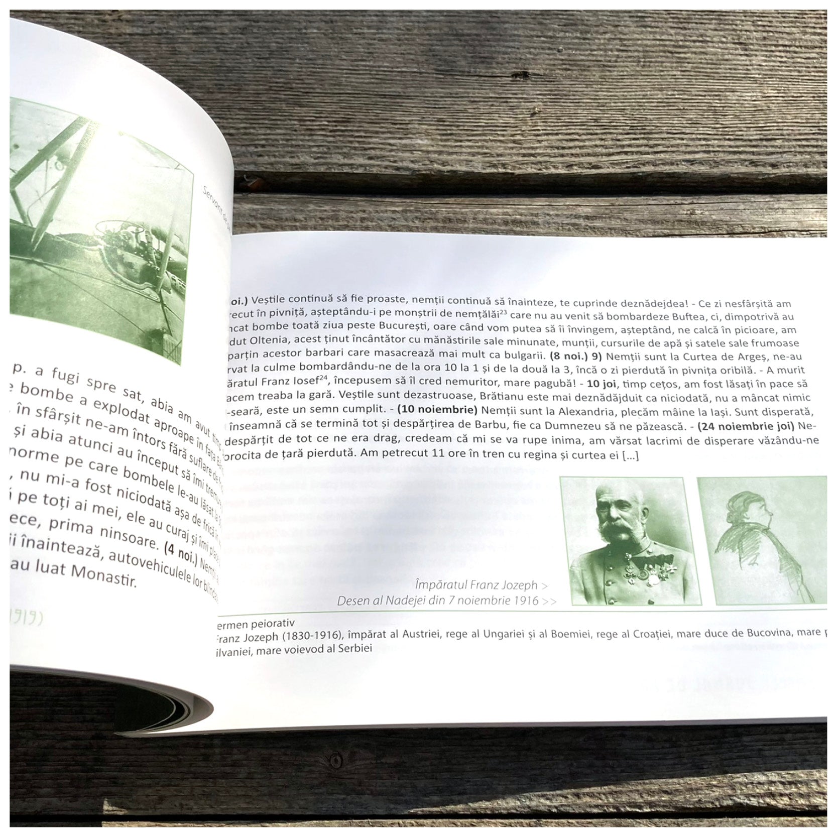 Nadeja Știrbey, Jurnal de prințesă 1916-1919