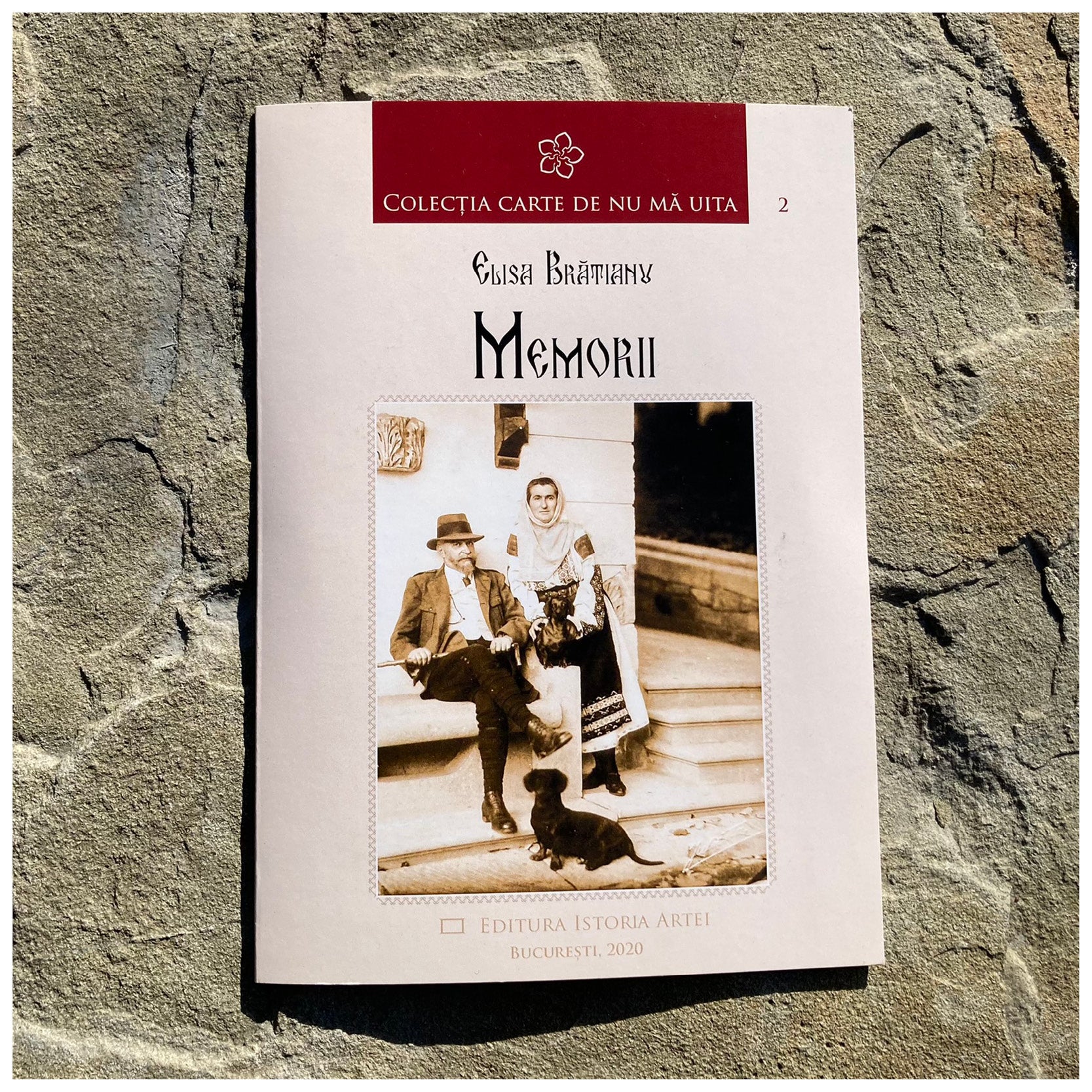 2022_ACS_patrimonescu_istoriaArtei_memorii.jpg