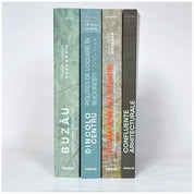 Buzău. Monografie urbanistică